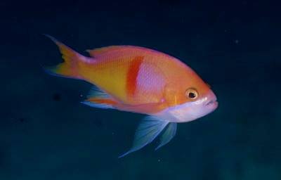 �����@�΍�